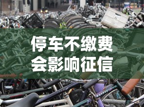 停车不缴费会影响征信吗？小心这些后果影响贷款审批！