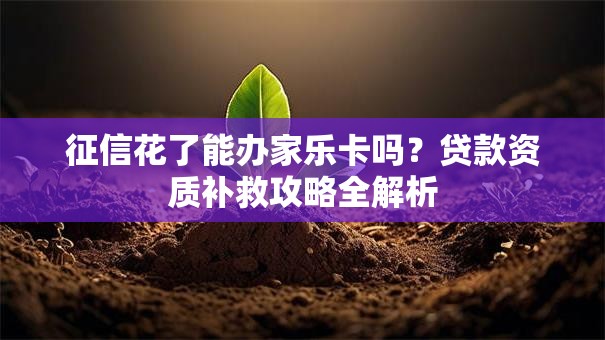 征信花了能办家乐卡吗？贷款资质补救攻略全解析