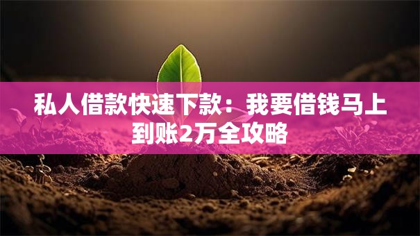 私人借款快速下款：我要借钱马上到账2万全攻略