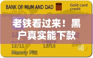 老铁看过来！黑户真实能下款的贷款口子大揭秘