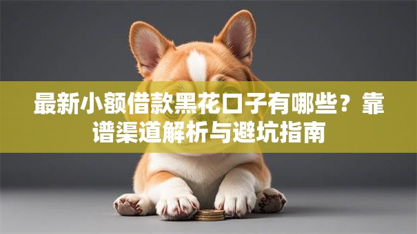 最新小额借款黑花口子有哪些？靠谱渠道解析与避坑指南