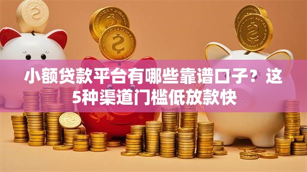 小额贷款平台有哪些靠谱口子？这5种渠道门槛低放款快