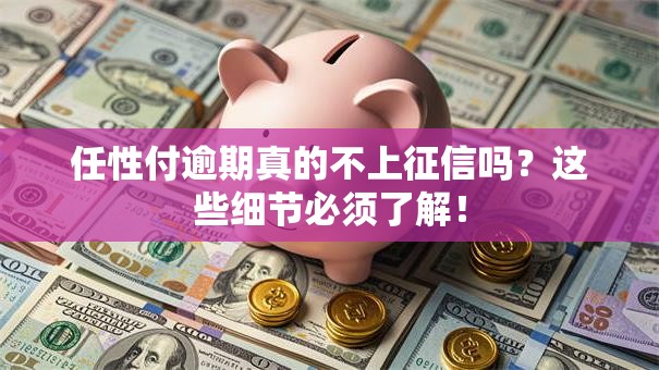 任性付逾期真的不上征信吗？这些细节必须了解！
