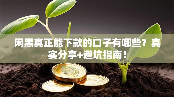 网黑真正能下款的口子有哪些？真实分享+避坑指南！