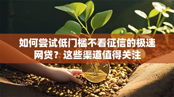 如何尝试低门槛不看征信的极速网贷？这些渠道值得关注