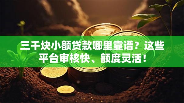 三千块小额贷款哪里靠谱？这些平台审核快、额度灵活！