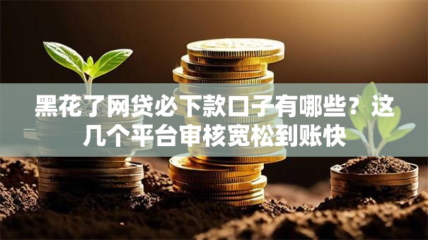 黑花了网贷必下款口子有哪些？这几个平台审核宽松到账快