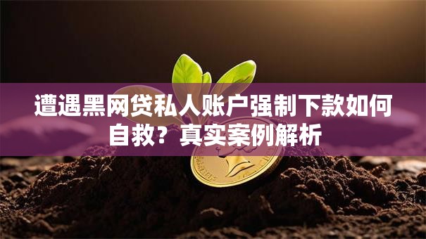 遭遇黑网贷私人账户强制下款如何自救？真实案例解析
