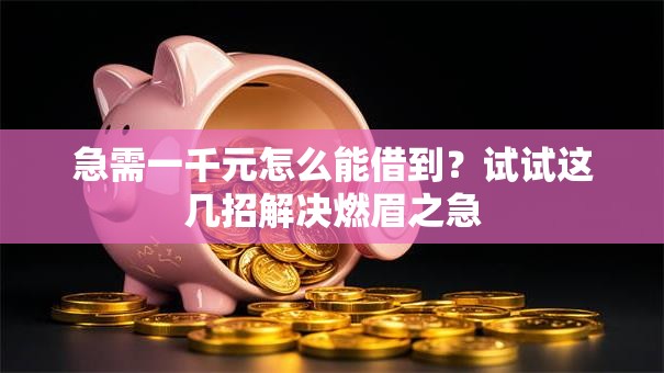 急需一千元怎么能借到？试试这几招解决燃眉之急
