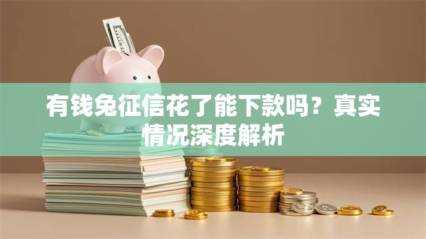 有钱兔征信花了能下款吗？真实情况深度解析