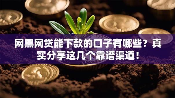 网黑网贷能下款的口子有哪些？真实分享这几个靠谱渠道！