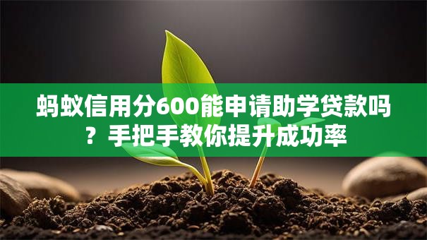 蚂蚁信用分600能申请助学贷款吗？手把手教你提升成功率