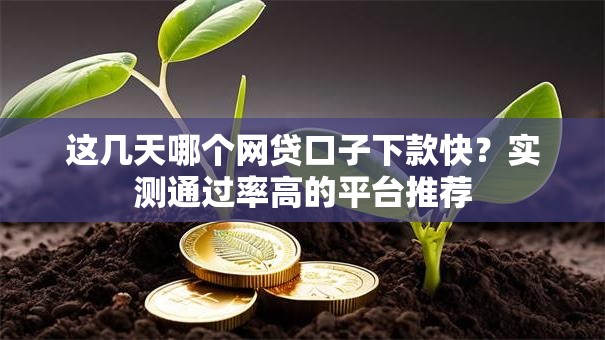 这几天哪个网贷口子下款快？实测通过率高的平台推荐