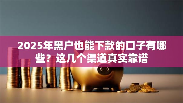 2025年黑户也能下款的口子有哪些？这几个渠道真实靠谱
