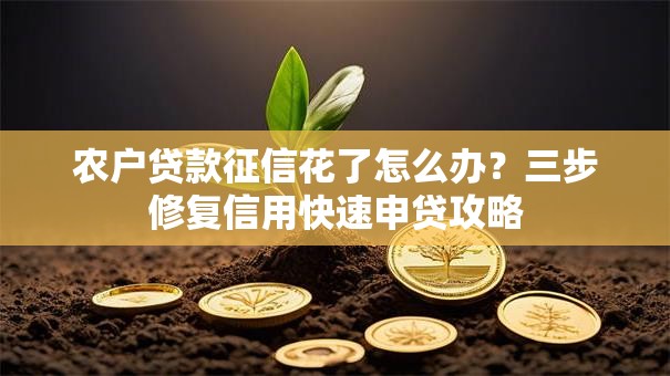 农户贷款征信花了怎么办？三步修复信用快速申贷攻略