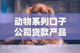 动物系列口子公司贷款产品到底在哪里找？这些渠道别错过！