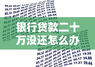 银行贷款二十万没还怎么办？这些自救方案你需要知道