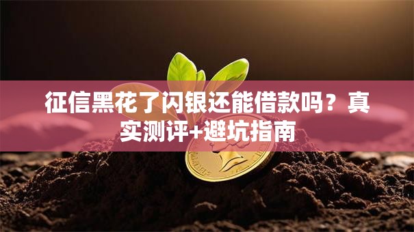 征信黑花了闪银还能借款吗？真实测评+避坑指南