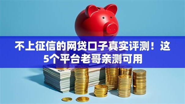 不上征信的网贷口子真实评测！这5个平台老哥亲测可用