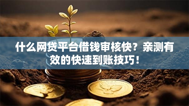 什么网贷平台借钱审核快？亲测有效的快速到账技巧！