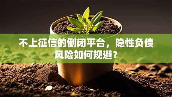 不上征信的倒闭平台，隐性负债风险如何规避？