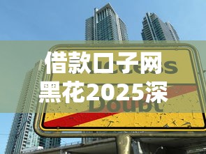 借款口子网黑花2025深度解析：这些避坑技巧你一定要知道！