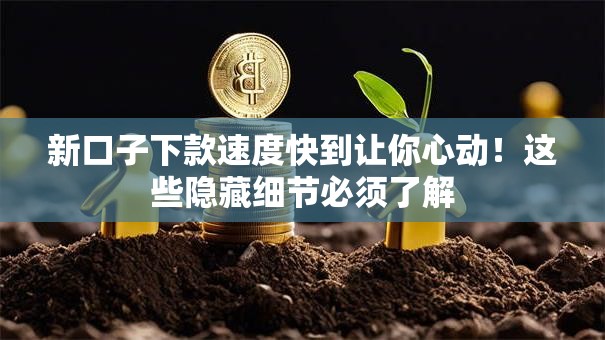 新口子下款速度快到让你心动！这些隐藏细节必须了解
