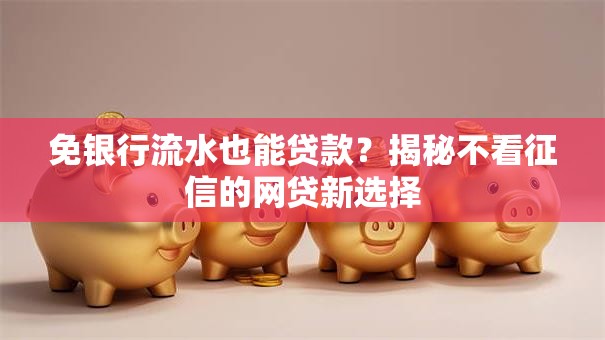 免银行流水也能贷款？揭秘不看征信的网贷新选择