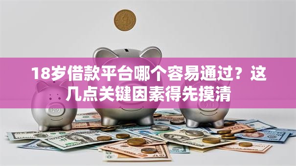 18岁借款平台哪个容易通过？这几点关键因素得先摸清