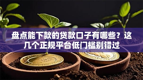 盘点能下款的贷款口子有哪些？这几个正规平台低门槛别错过