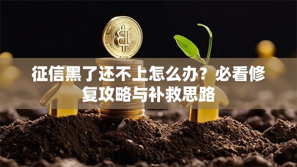 征信黑了还不上怎么办？必看修复攻略与补救思路