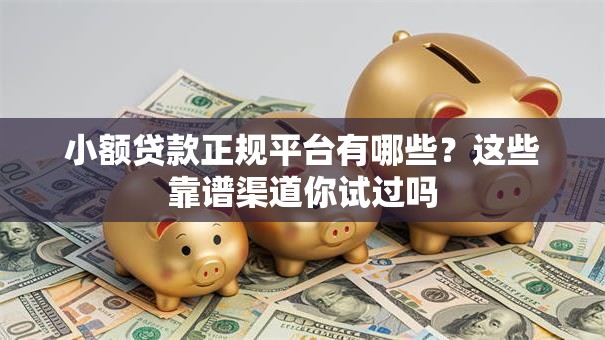 小额贷款正规平台有哪些？这些靠谱渠道你试过吗