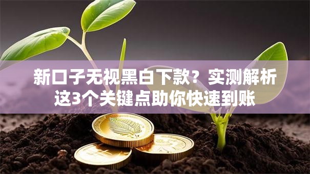 新口子无视黑白下款？实测解析这3个关键点助你快速到账