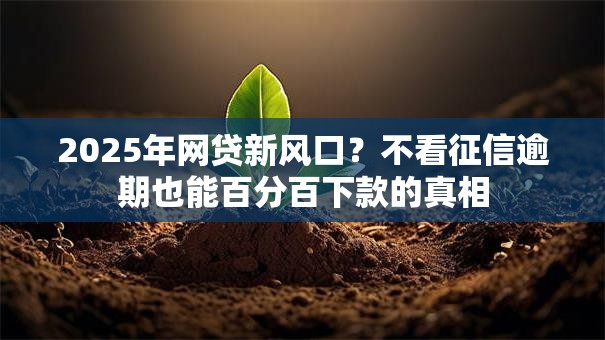 2025年网贷新风口?不看征信逾期也能百分百下款的真相 2025年网贷新风口?不看征信逾期也能百分百下款的真相