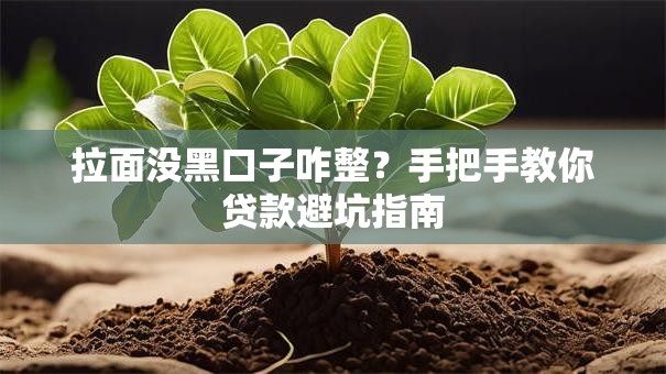 拉面没黑口子咋整？手把手教你贷款避坑指南