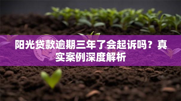 阳光贷款逾期三年了会起诉吗？真实案例深度解析