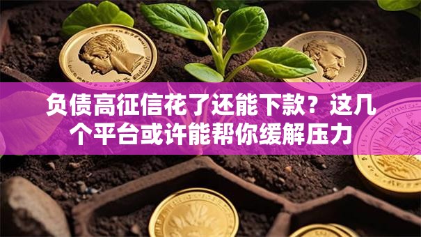 负债高征信花了还能下款?这几个平台或许能帮你缓解压力 负债高征信花了还能下款?这几个平台或许能帮你缓解压力
