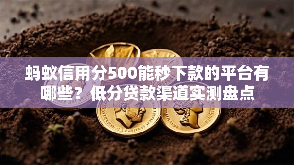 蚂蚁信用分500能秒下款的平台有哪些？低分贷款渠道实测盘点