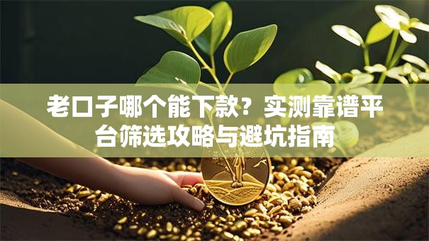 老口子哪个能下款？实测靠谱平台筛选攻略与避坑指南