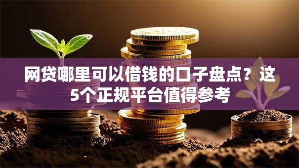 网贷哪里可以借钱的口子盘点？这5个正规平台值得参考