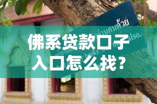 佛系贷款口子入口怎么找？这份避坑指南手把手教你选对平台