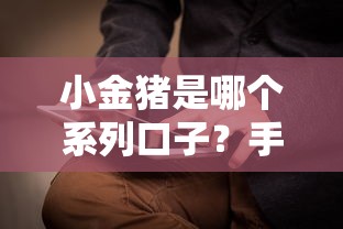 小金猪是哪个系列口子？手把手教你识别正规借款产品