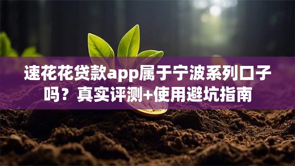 速花花贷款app属于宁波系列口子吗？真实评测+使用避坑指南