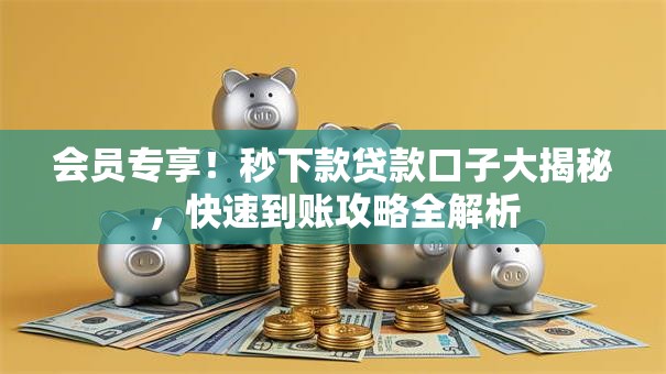 会员专享！秒下款贷款口子大揭秘，快速到账攻略全解析