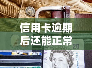 信用卡逾期后还能正常刷卡消费吗？这些影响你必须知道！