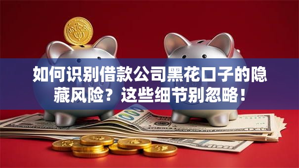 如何识别借款公司黑花口子的隐藏风险？这些细节别忽略！