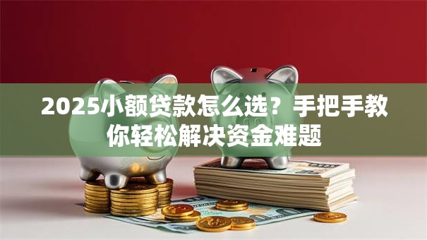 2025小额贷款怎么选？手把手教你轻松解决资金难题