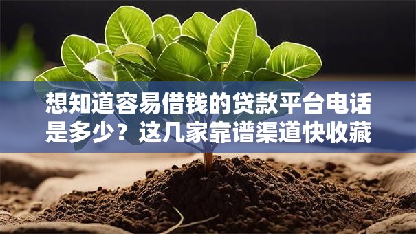 想知道容易借钱的贷款平台电话是多少？这几家靠谱渠道快收藏