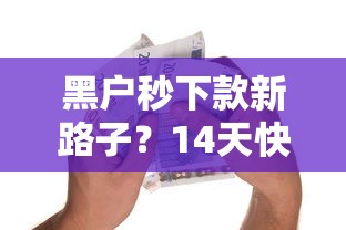 黑户秒下款新路子？14天快速到账的贷款口子解析
