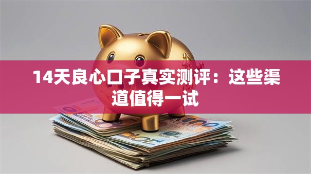 14天良心口子真实测评：这些渠道值得一试
